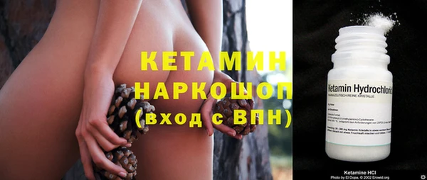 сатива Горно-Алтайск
