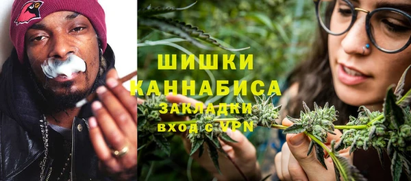 эйфоретик Тайга