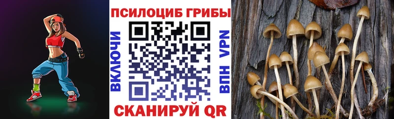 Галлюциногенные грибы прущие грибы  Купить  Навашино 